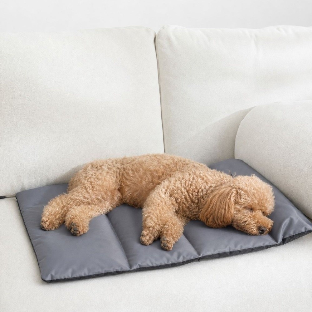 Faltbare Haustier-Schlafmatte  – Outdoor Camping Dog Bed Bewertung und Preis