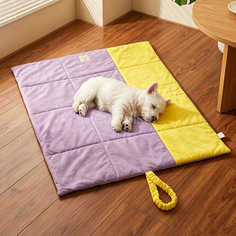 Tragbare Faltbare Hunde-Autosi – Outdoor Camping Dog Bed Bewertung und Preis