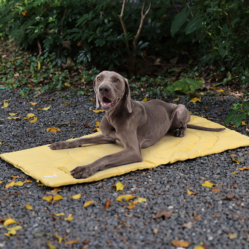 Tragbare Haustier matte faltba – Outdoor Camping Rugs Bewertung und Preis