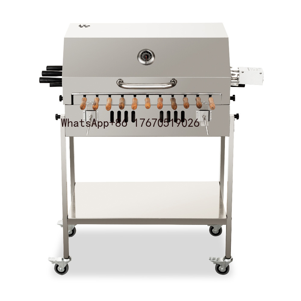 Moderner großer Holzkohlegrill – Outdoor Camping Trolley Bewertung und Preis