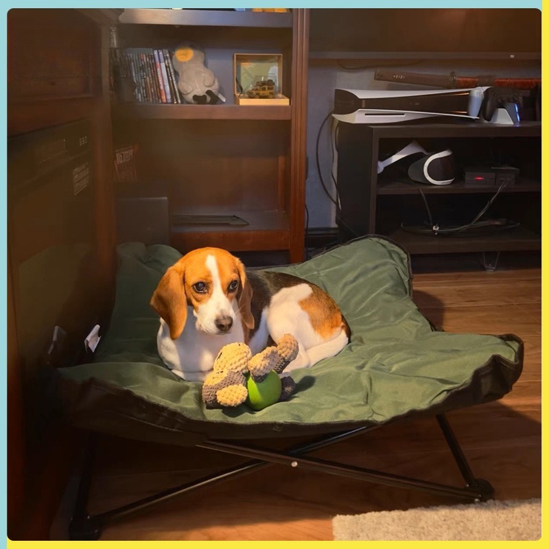 Tragbares Faltbares Haustierbe – Outdoor Camping Dog Bed Bewertung und Preis
