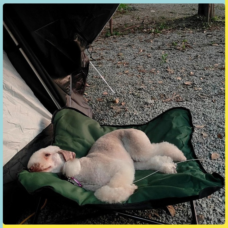 Tragbares Faltbares Haustierbe – Outdoor Camping Dog Bed Bewertung und Preis
